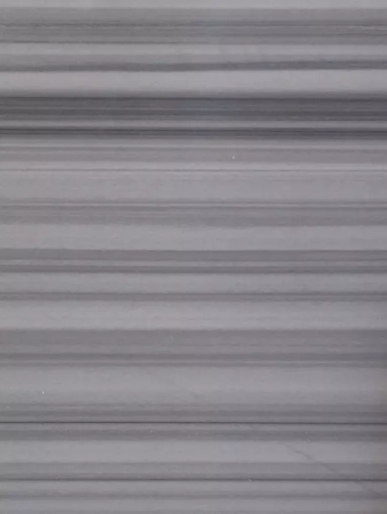 Goflan Silver – photo 4